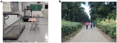 Comparison of the effects of indoor and outdoor exercise on creativity: an analysis of EEG alpha power